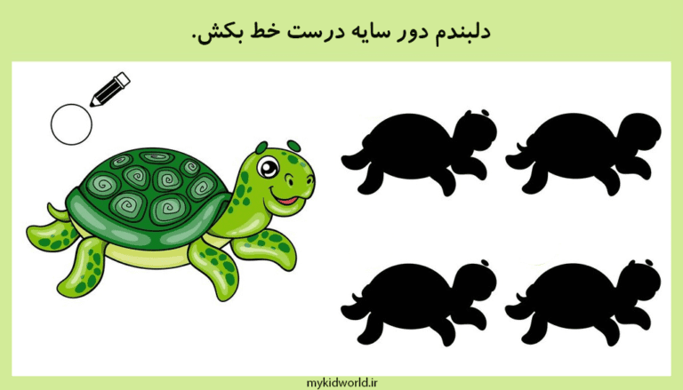 کاربرگ لاک‌‌ پشت