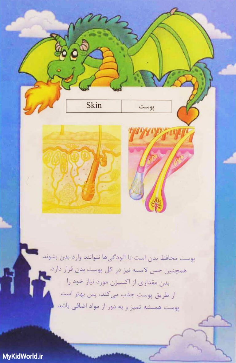 آموزش دو زبانه اجزای بدن - پوست skin