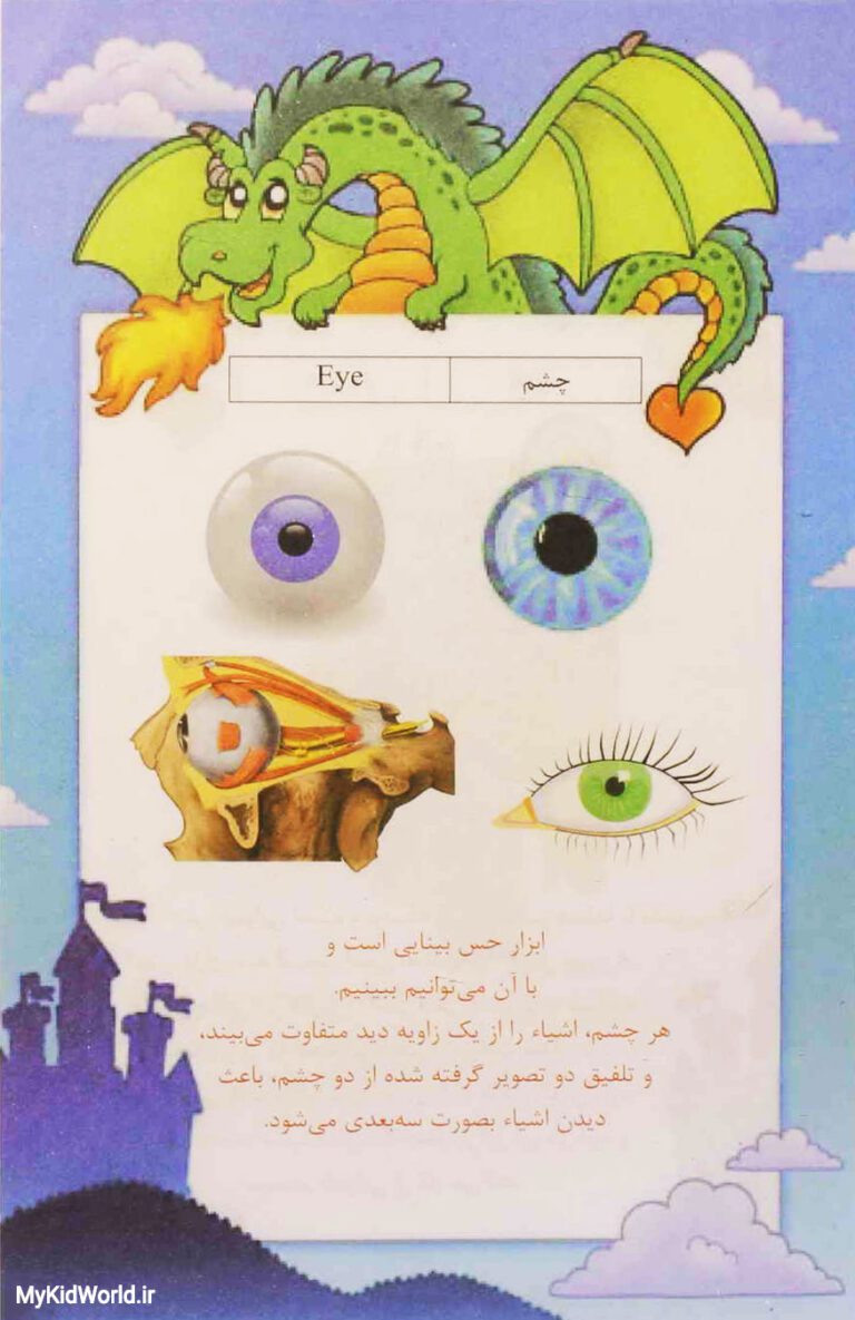 آموزش دو زبانه اجزای بدن - چشم eye