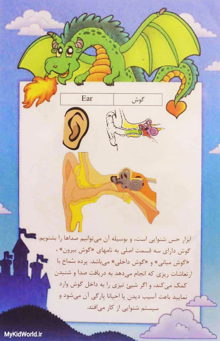 آموزش دو زبانه اجزای بدن - گوش ear