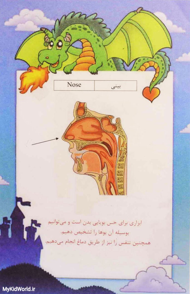 آموزش دو زبانه اجزای بدن - بینی nose