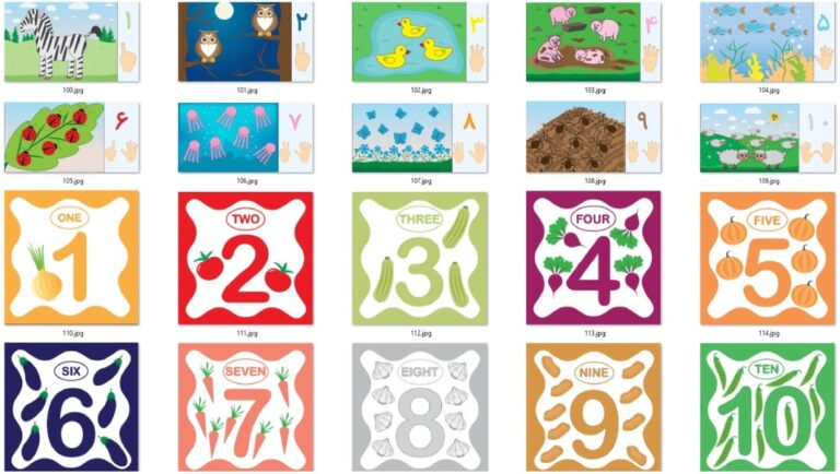 کاربرگ های ریاضی | پیش دبستانی - فلش کارت اعداد