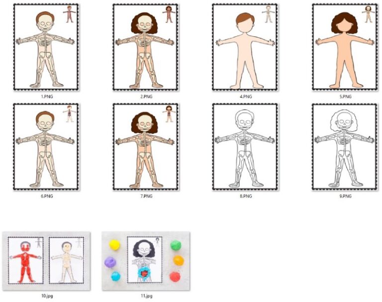 کلاژ اعضای بدن - علوم پیش دبستانی