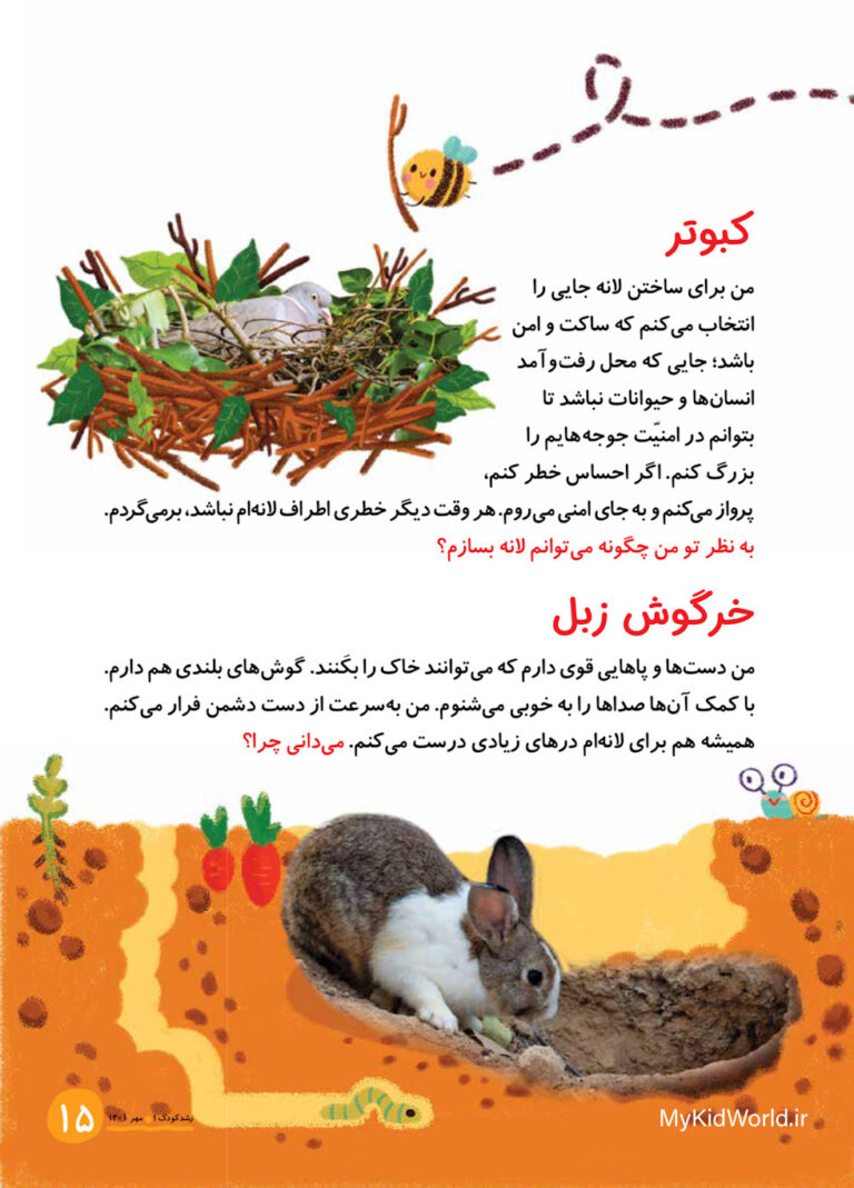بپرس و بدان (لانه سازی) ۲